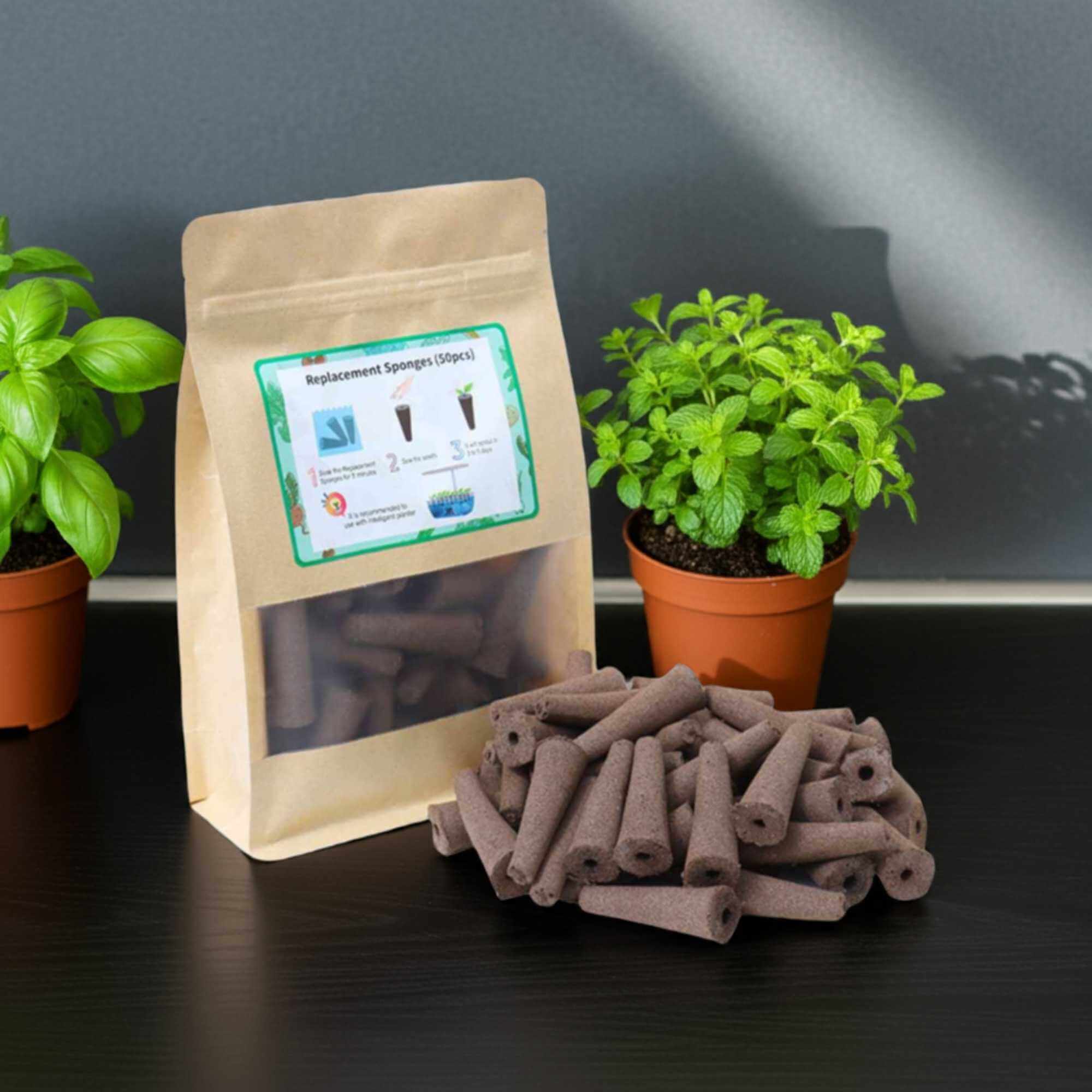 Grow-Sponges-50-pack-edited-2