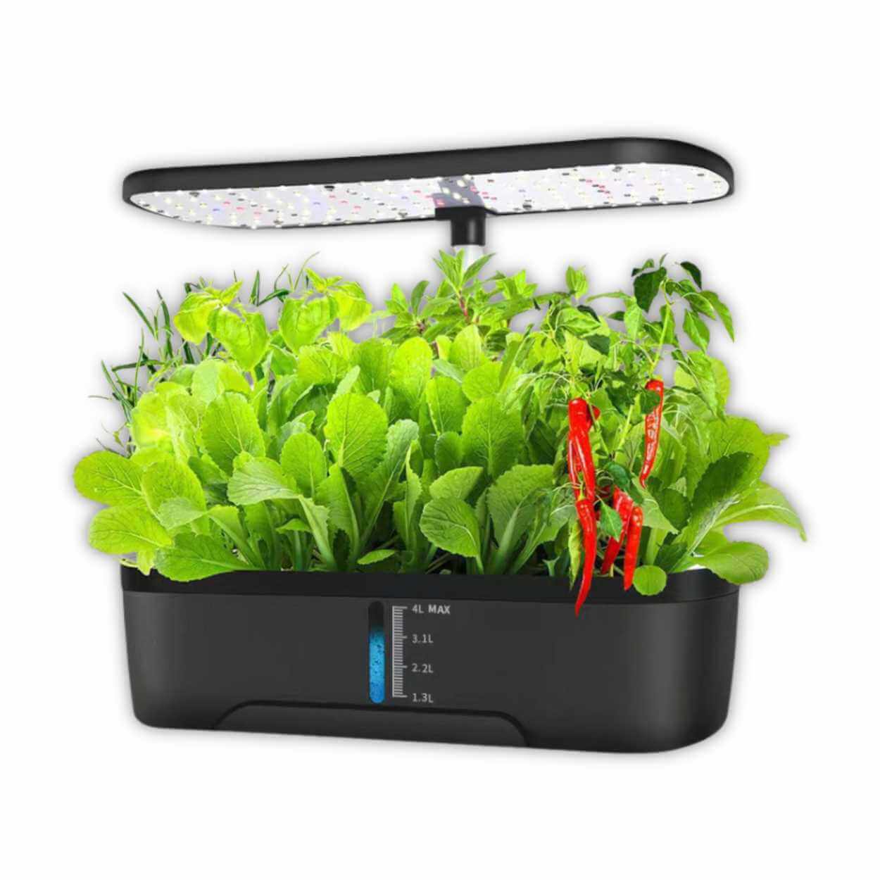 Black hydroponic garden full of leafy greens and chili peppers under LED light.jpg