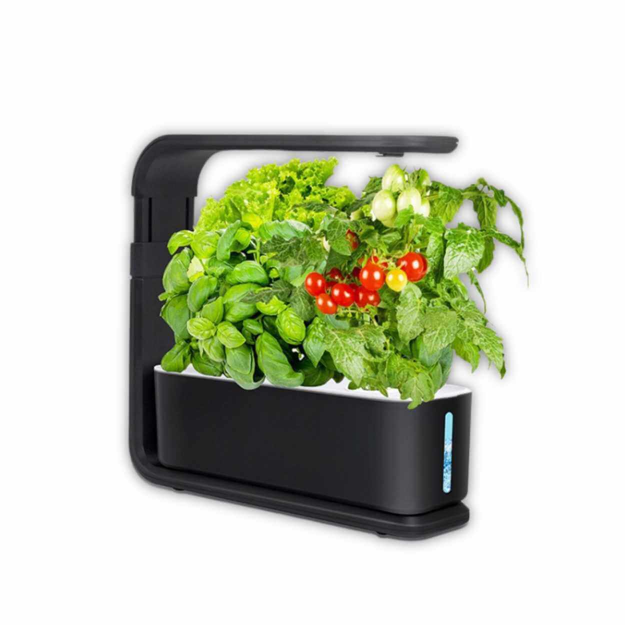 Black hydroponic grow system with herbs and cherry tomatoes under LED light.jpg