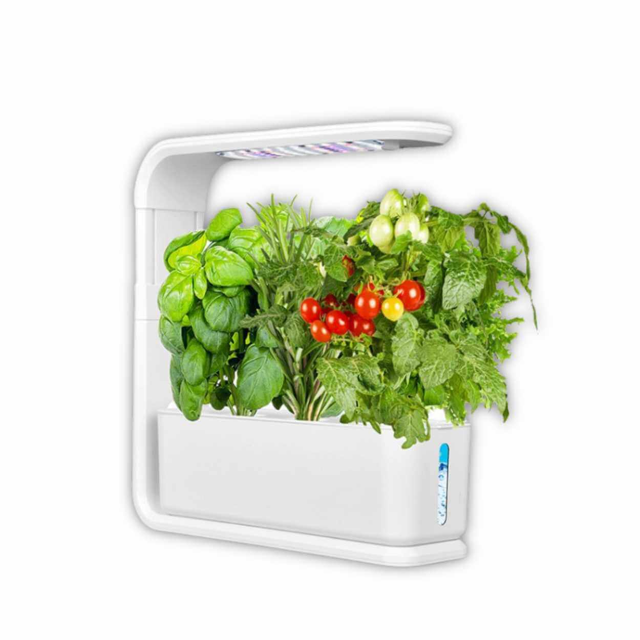 Compact white hydroponic system with herbs and tomatoes under grow light.jpg