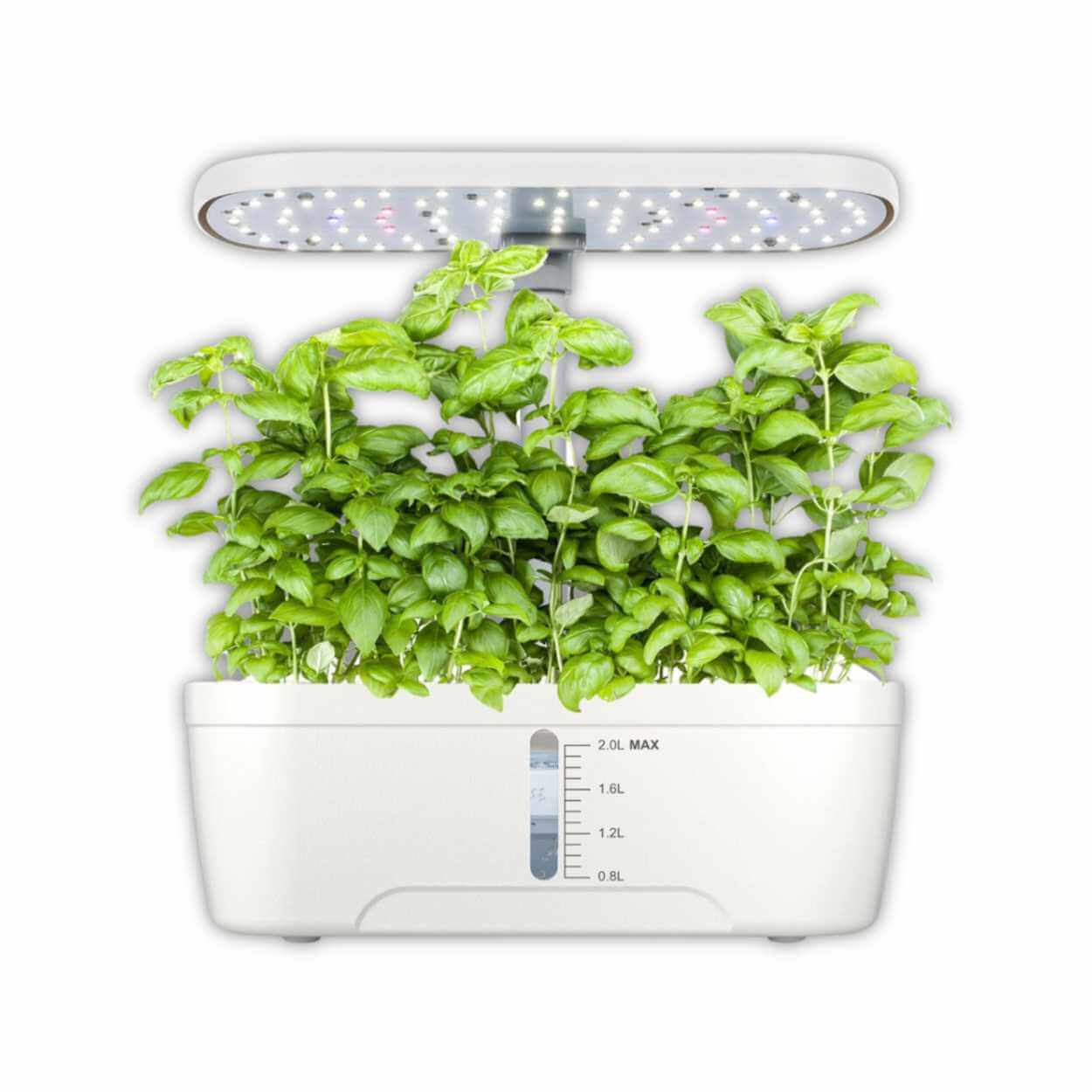 White hydroponic growing system with six basil plants under LED light.jpg