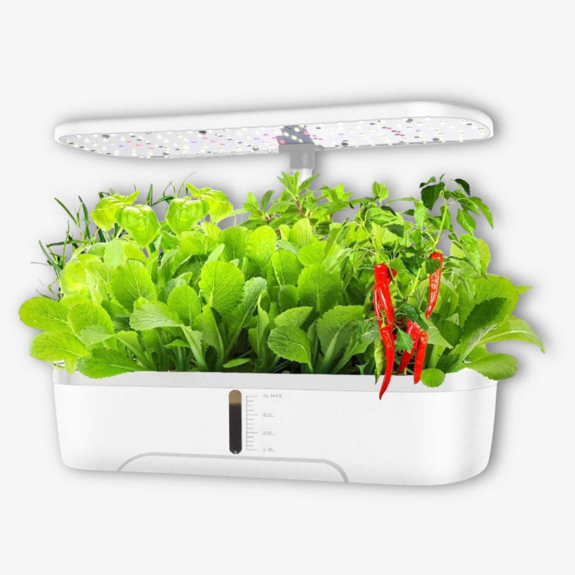 White hydroponic garden full of leafy greens and chili peppers under LED light.jpg